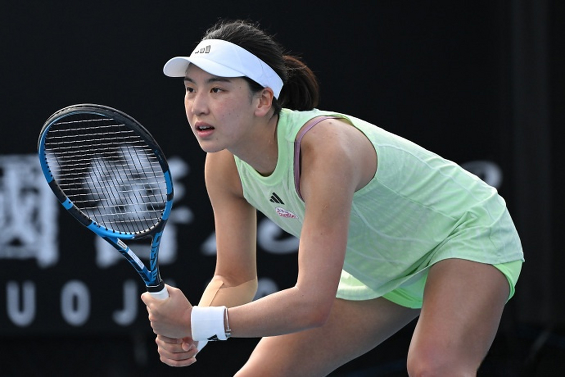 由泳项目上 由泳项目上